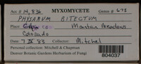 Image Associated With the Occurence